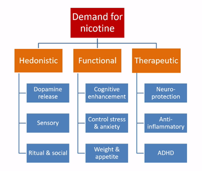 Flow chart showing reasons for demand for nicotine