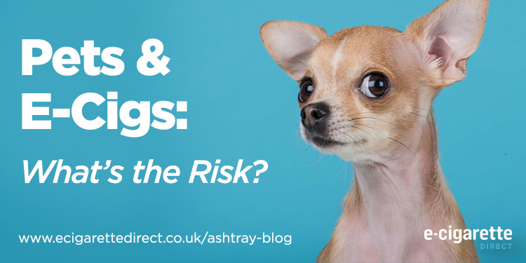 Pets and Vaping: What’s the Risk?